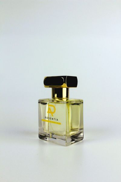 Luxe Edıtıon Lx11 (ARMANI Sİ) Muadili Kadın Parfümü