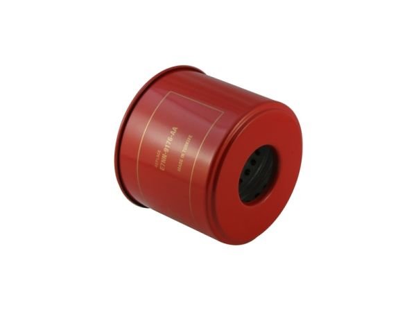 Cargo 2520 Mazot Filtresi