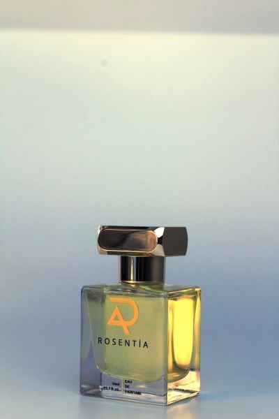 Luxe Edition LX94 (L.V. Imagination ERKEK ) 50ml EDP Parfüm